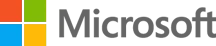 Microsoft partner